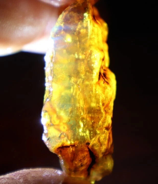 Exquisite Natural Dominican Crystal Clear Yellow Blue Amber Rough Specimen 42mm – photo 13