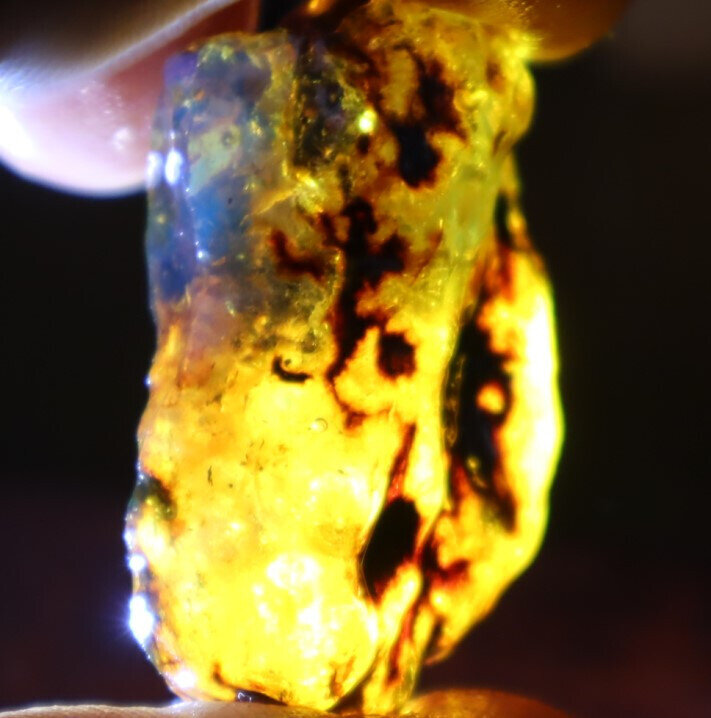 Lovely Natural Dominican Crystal Clear Sky Blue Amber Rough Specimen 40mm 10.5g – photo 11