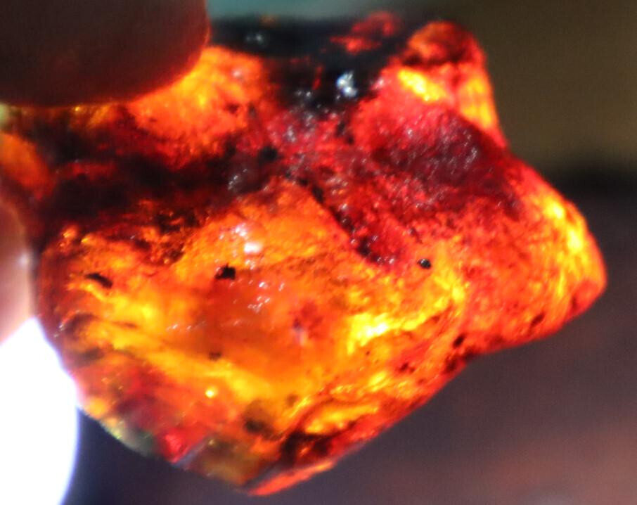 Excellent Natural Dominican Clear Deep Green Blue Amber Rough Specimen 39mm 13.5 – photo 8