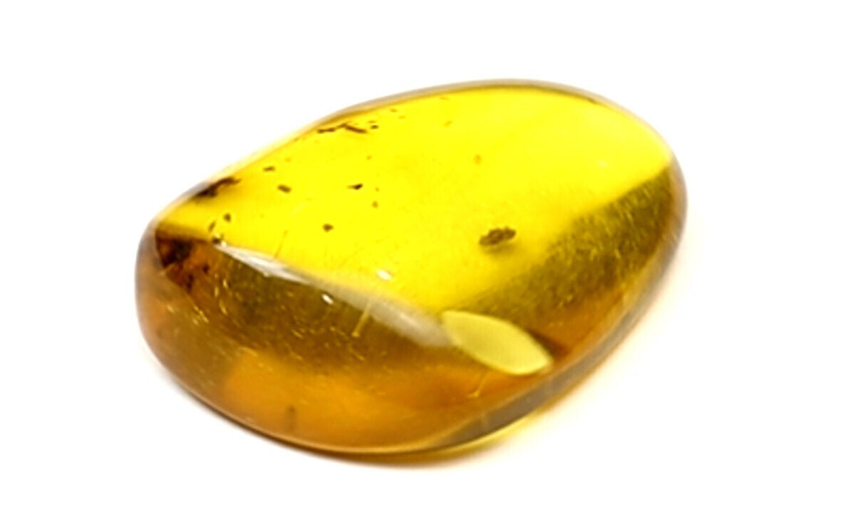 Splendid Natural Dominican Clear Yellow Amber Polished Stone Fossil Insect Bug – photo 8