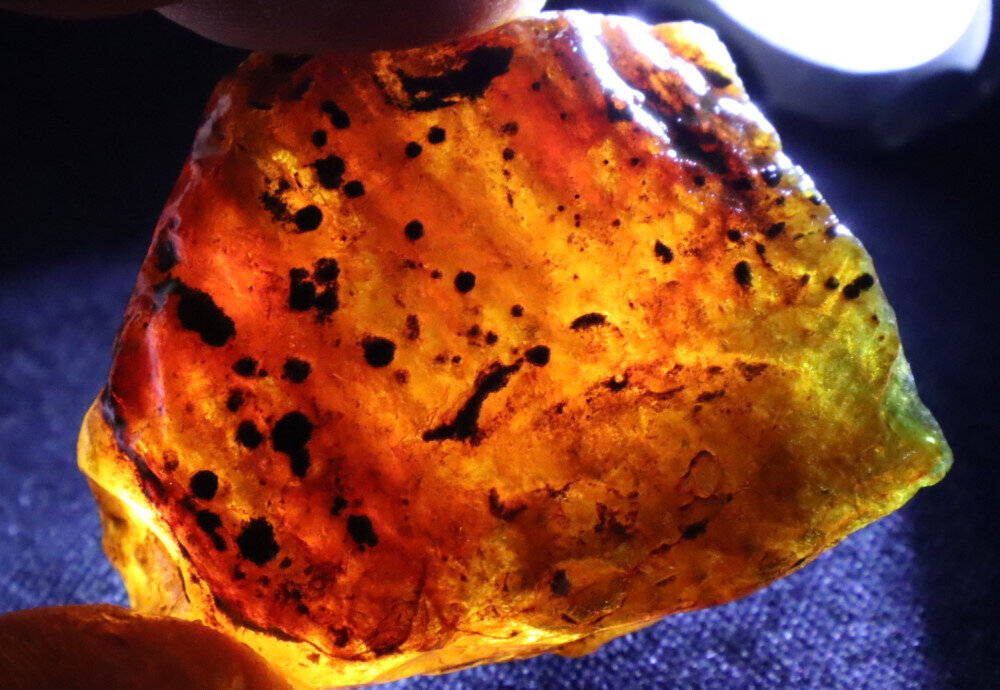 Exquisite Natural Dominican Clear Green Blue Amber Rough Specimen 46mm 18g – photo 3