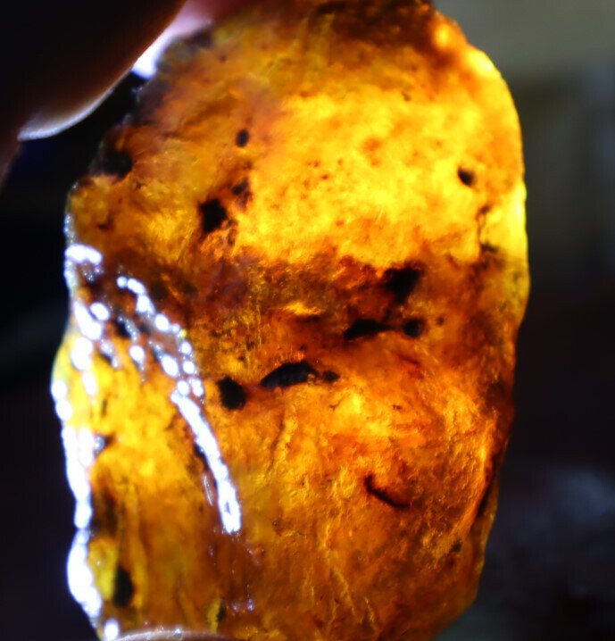 Impressive Natural Dominican Clear Green Blue Amber Rough Specimen 66mm 42.9g – photo 12