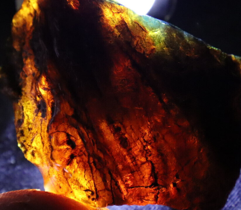 Charming Design Natural Dominican Clear Green Blue Amber Rough Specimen 53mm 21g – photo 4