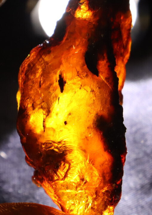 Outstanding Natural Dominican Clear Deep Blue Amber Rough Specimen 59mm 21g – photo 14