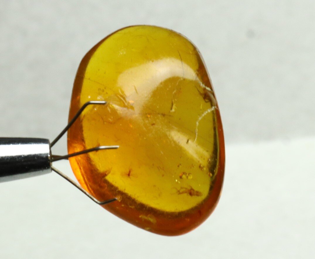 Lovely Natural Dominican Clear Yellow Amber Fossil Insect Fleas Polished Stone 3 – photo 6
