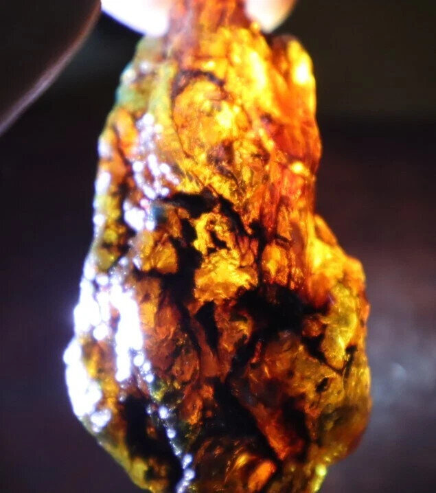 Beautiful Natural Dominican Clear Yellow Blue Amber Rough Specimen 43mm 19.7g – photo 6