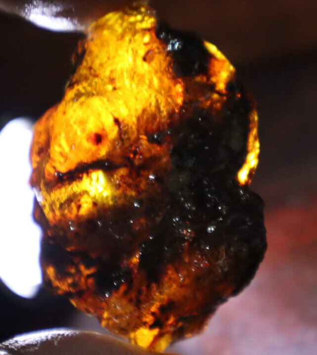 Beautiful Natural Dominican Translucent Green Blue Amber Rough Specimen 47mm 19g – photo 6