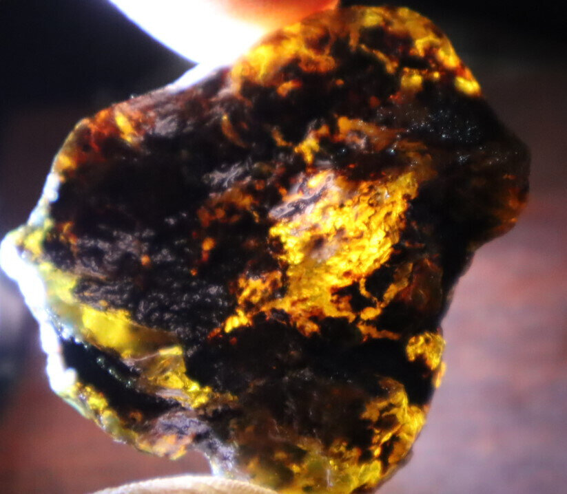 Excellent Natural Dominican Clear Sky Blue Amber Rough Specimen 44mm 11g – photo 9