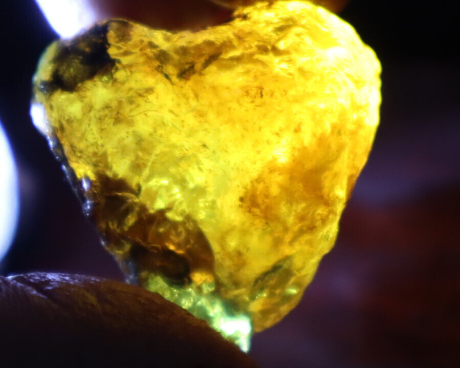 Exquisite Natural Dominican Clear Golden Blue Amber Rough Specimen 37mm 16.8g – photo 14