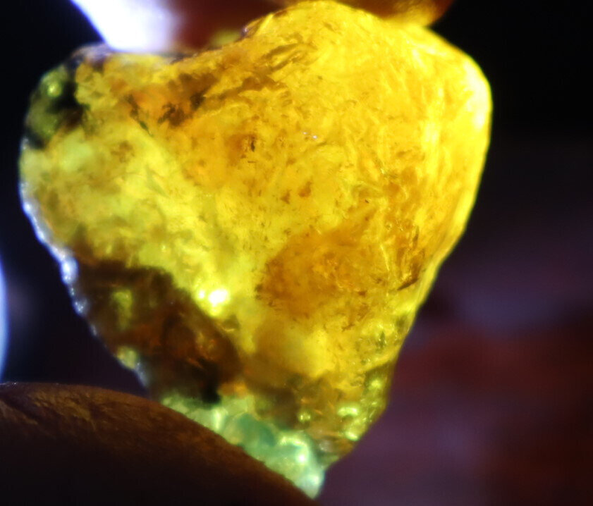 Exquisite Natural Dominican Clear Golden Blue Amber Rough Specimen 37mm 16.8g – photo 16