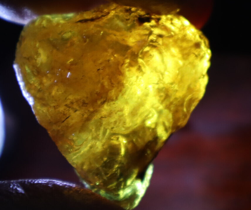 Exquisite Natural Dominican Clear Golden Blue Amber Rough Specimen 37mm 16.8g – photo 19