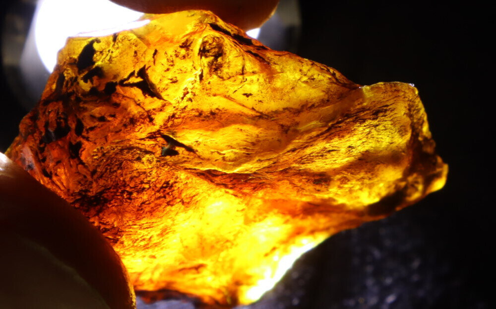 Exquisite Natural Dominican Clear Sky Blue Amber Rough Specimen 40mm 13g – photo 10