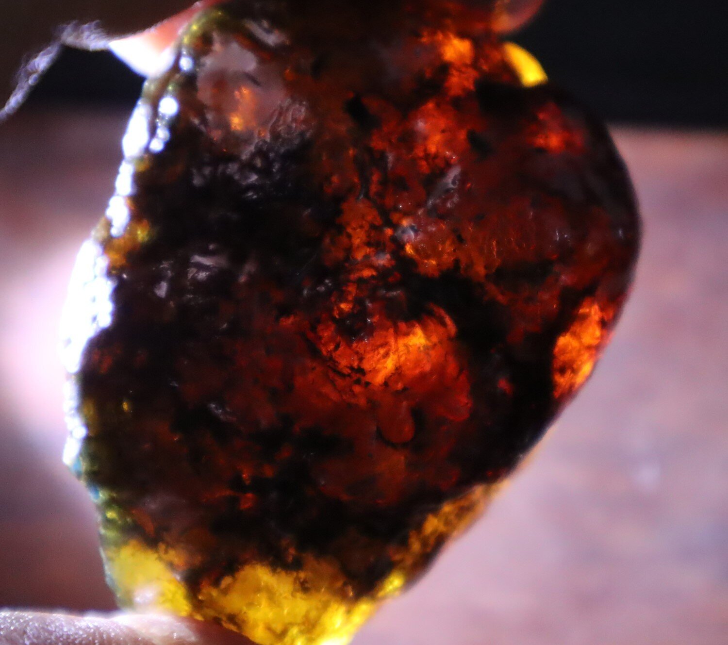 Beautiful Natural Dominican Clear Green Blue Amber Rough Specimen 57mm 38g – photo 11