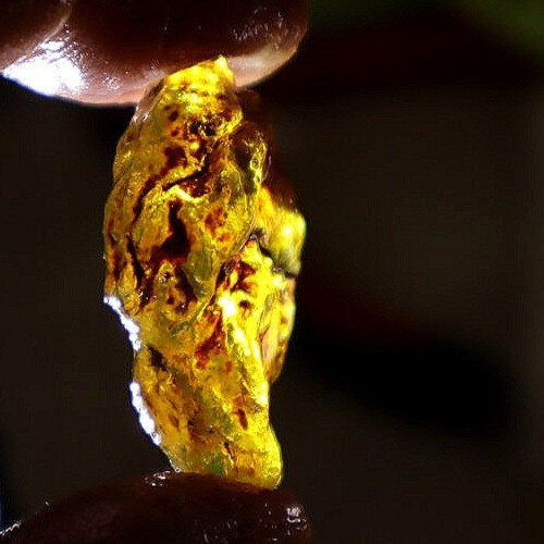 Natural Dominican Blue Amber Rough Specimen 35mm 3.6g Yellow – photo 7