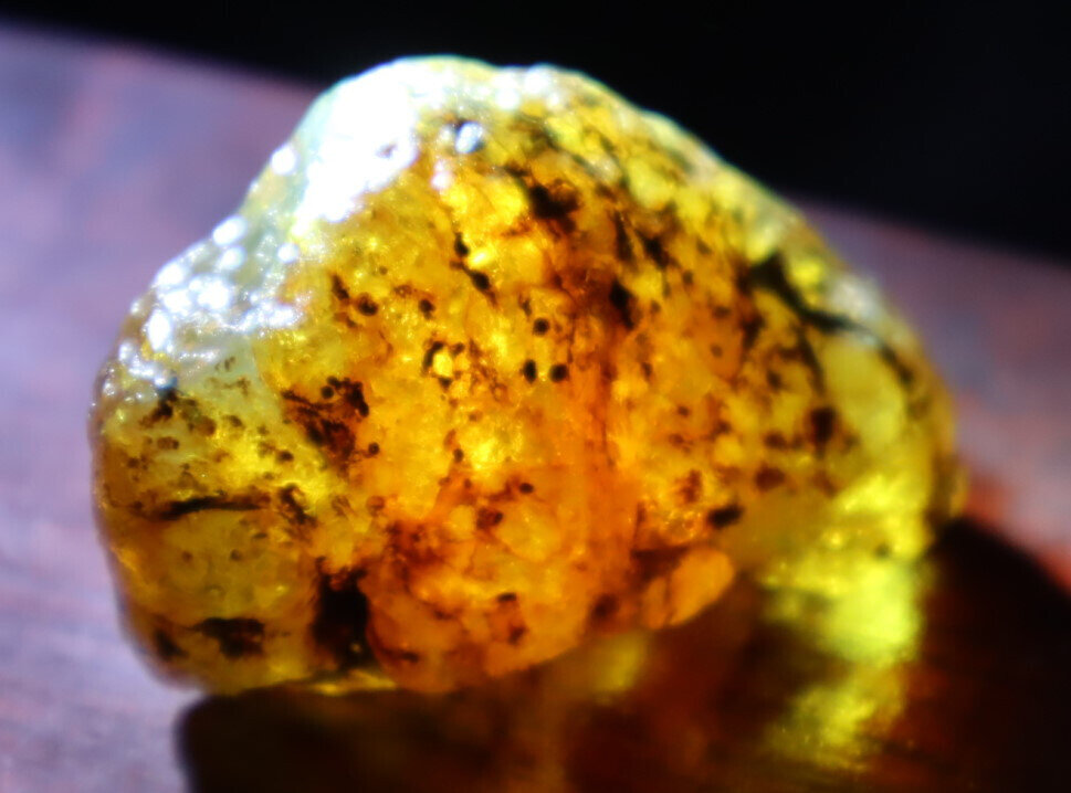 Excellent Natural Dominican Crystal Clear Yellow Amber Rough Specimen 46mm 14g – photo 9