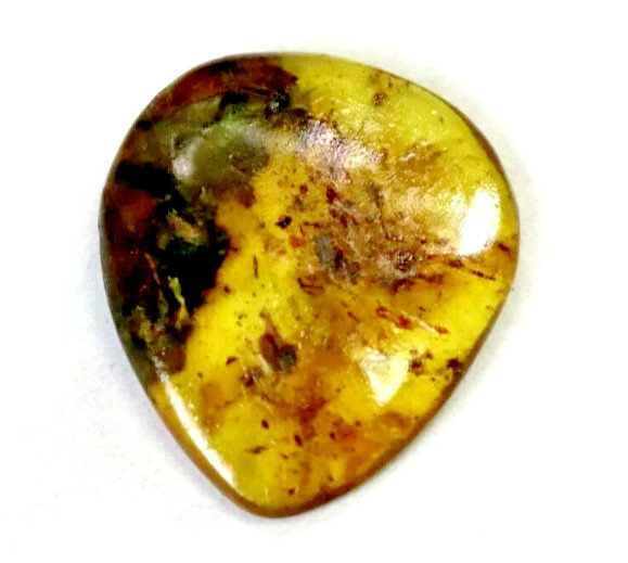 Genuine Natural Dominican Clear Green Amber Polished Stone 22mm free drilling