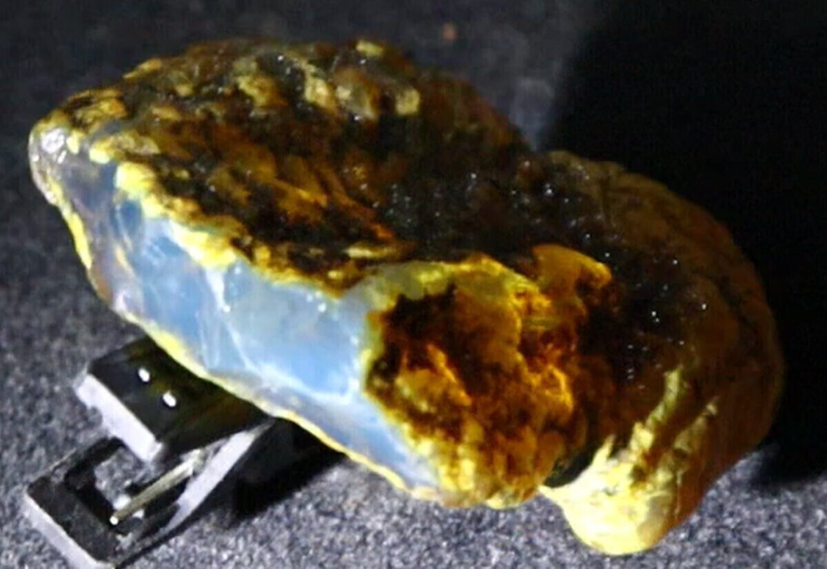 Natural Dominican Blue Amber Rough Specimen 42mm 10g Clear – photo 3