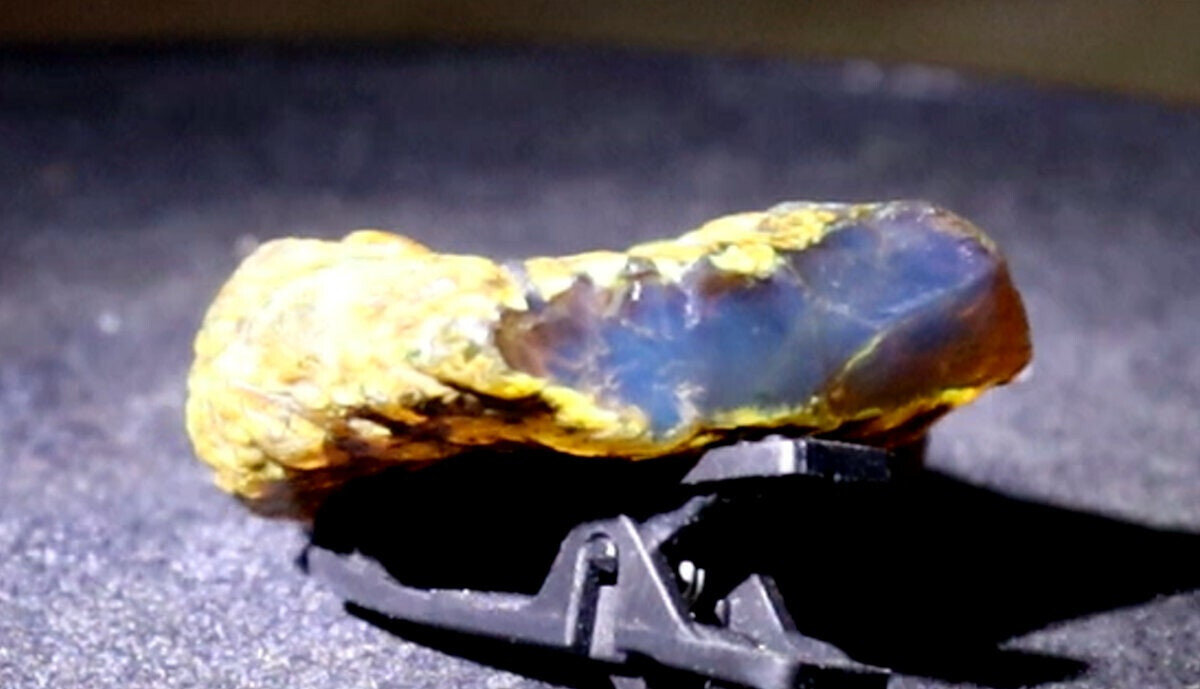 Natural Dominican Blue Amber Rough Specimen 42mm 10g Clear – photo 9