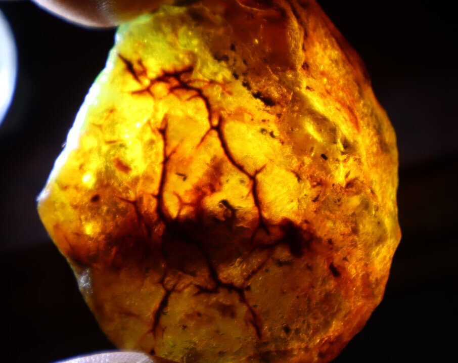 Impressive Natural Crystal Clear Sky Blue Yellow Amber Rough Specimen 54mm 24g – photo 9