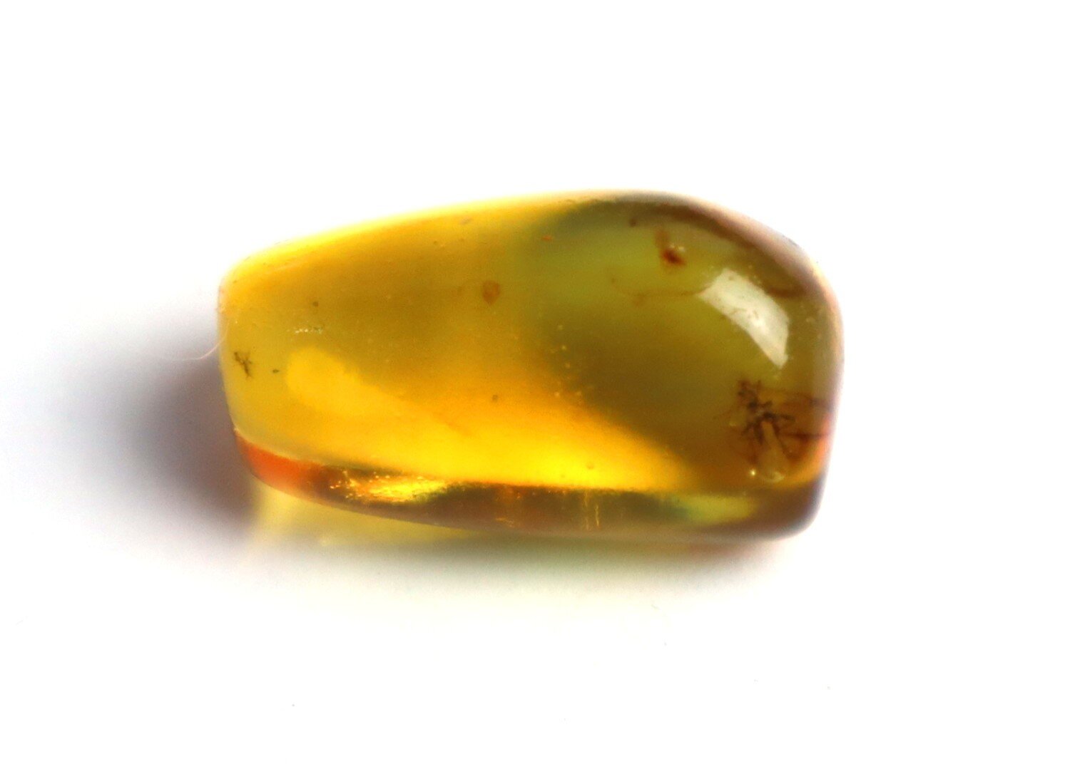 Beautiful Natural Dominican Amber Flying Insect Flies Fossil Stone 19mm – photo 4