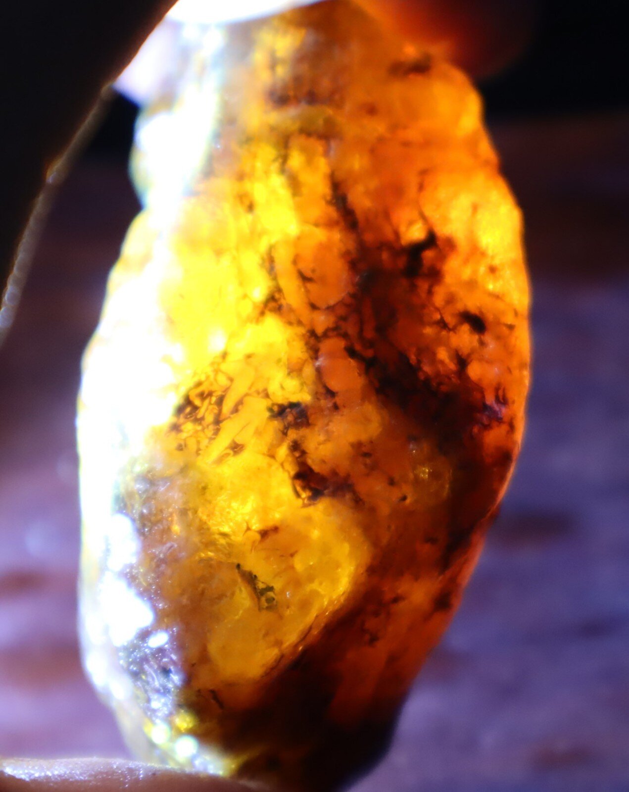 Natural Translucent Yellow Orange Butterscotch Amber Rough Specimen 62mm 34.5g – photo 6
