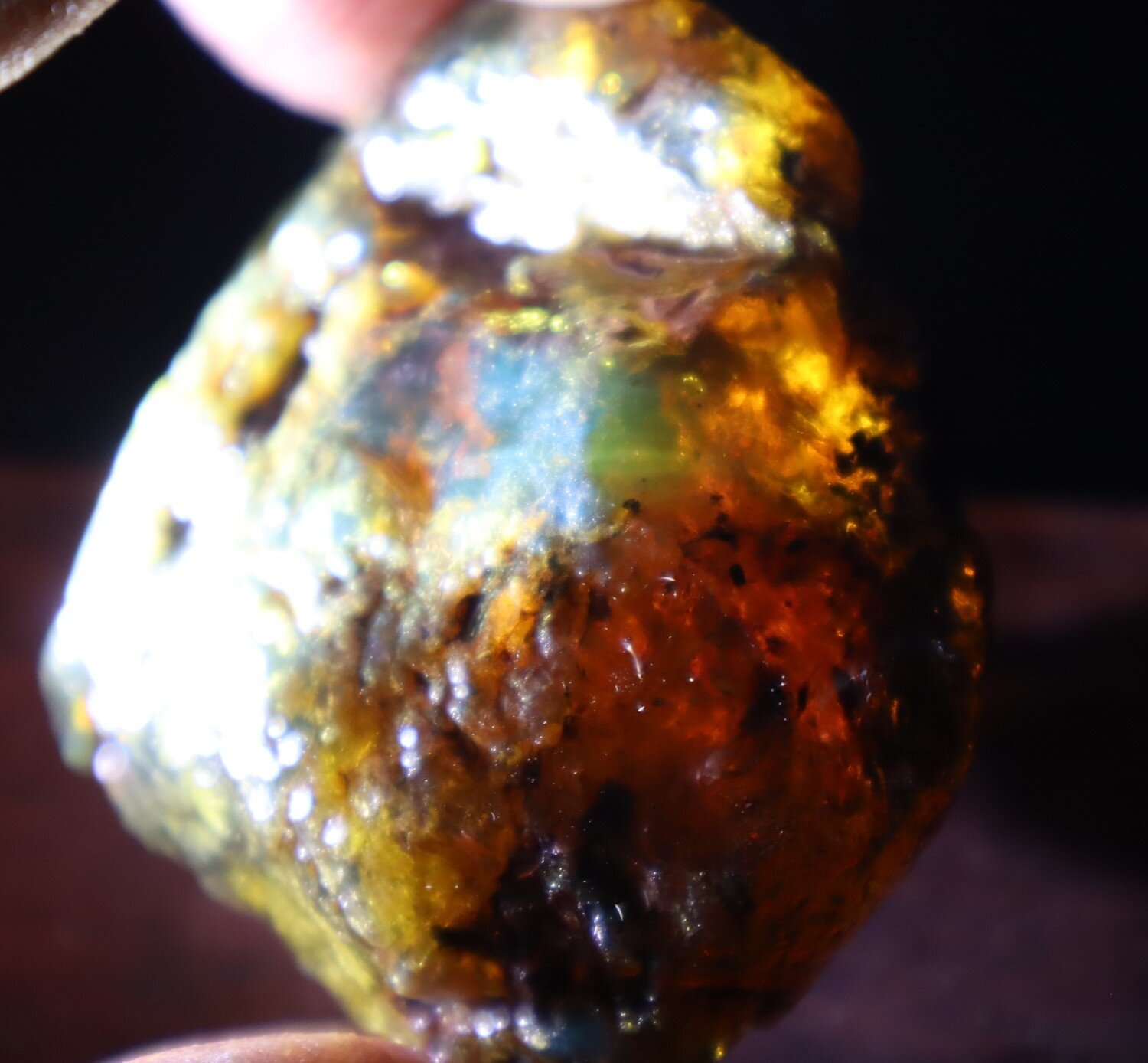 Beautiful Natural Dominican Translucent Green Blue Amber Rough Specimen 61mm 47g – photo 14