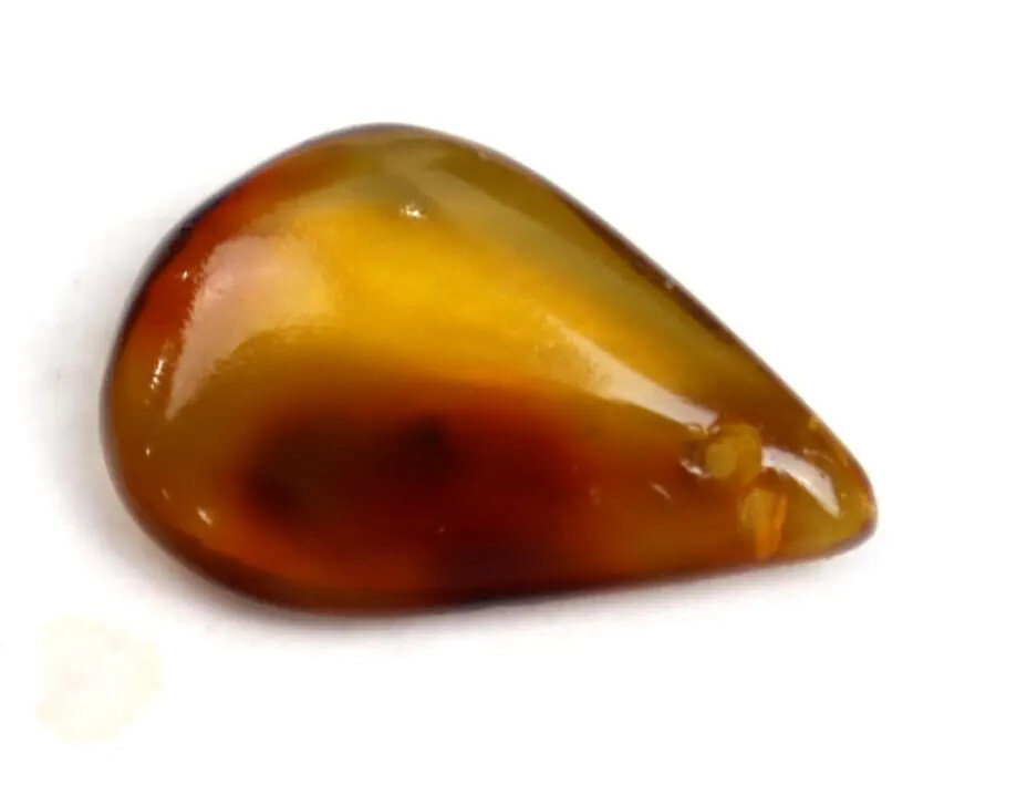 Impressive Drilled Natural Dominican Crystal Clear Yellow Brown Amber Polished – photo 5