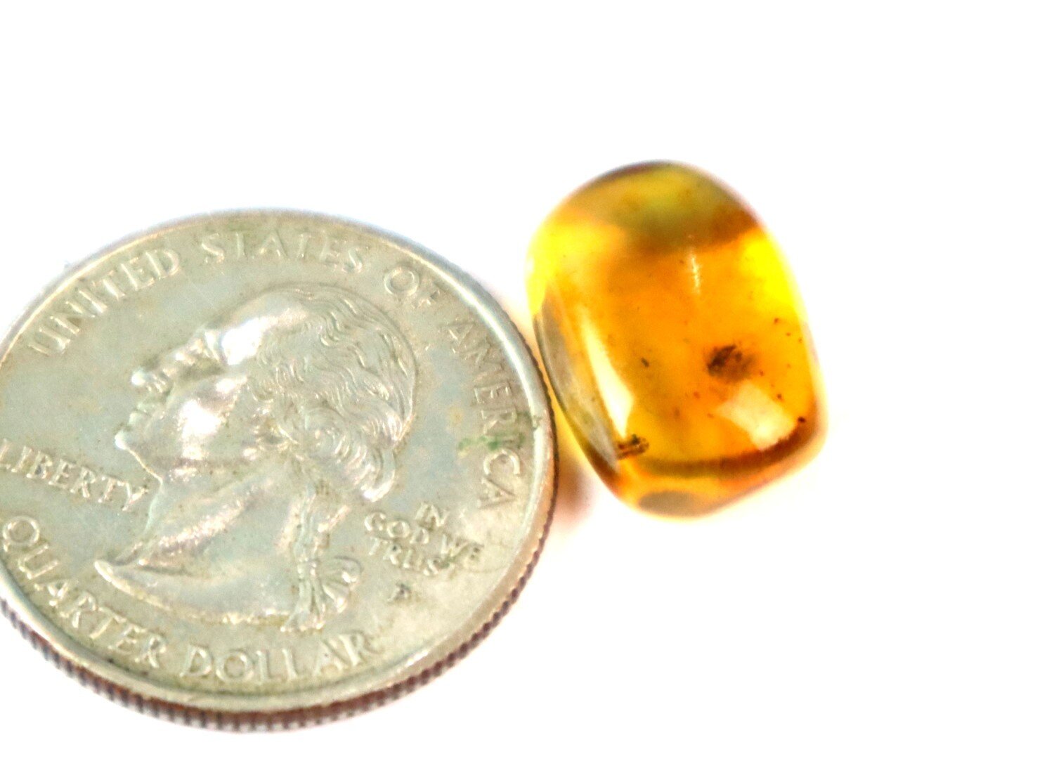 Natural Dominican Amber with Insect Inclusion – Polished Stone | 19mm – photo 6