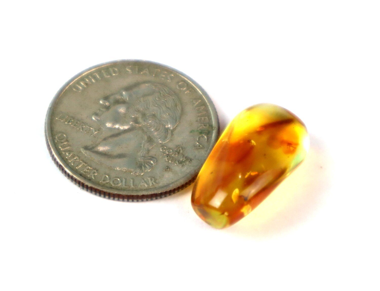 Natural Dominican Clear Amber – with Parasitic Wasp Inclusion (Hymenoptera) | 21mm – photo 4