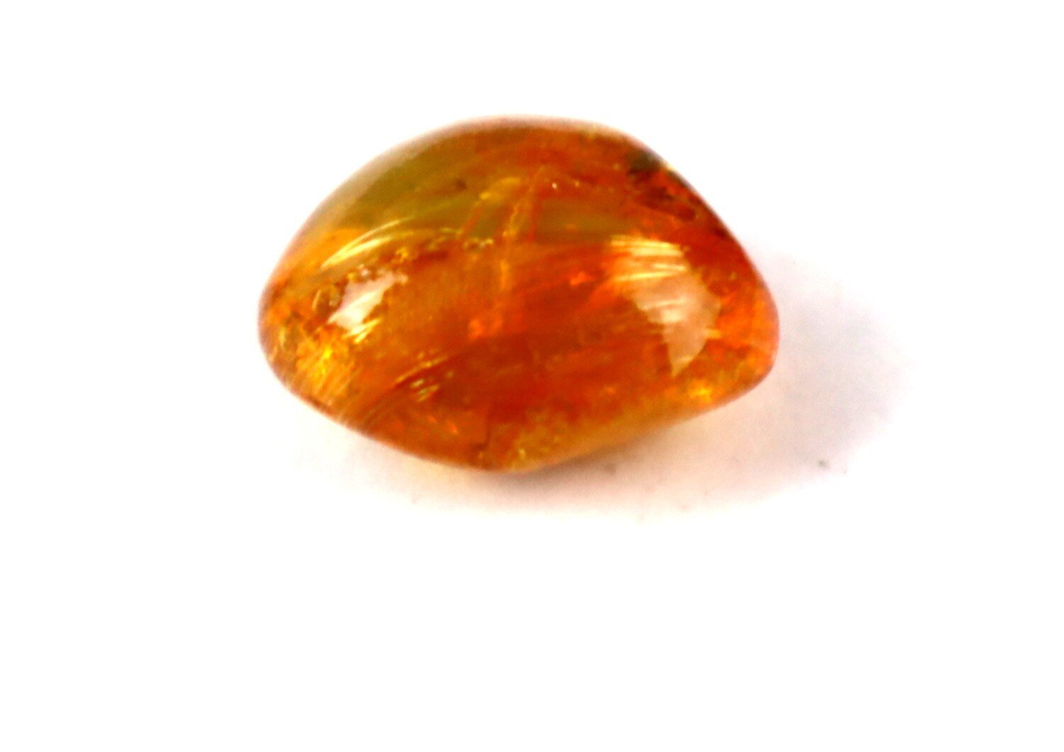 Natural Dominican Clear Amber with Hymenoptera Inclusion (Wasp/Bee Type) | 14mm – photo 3