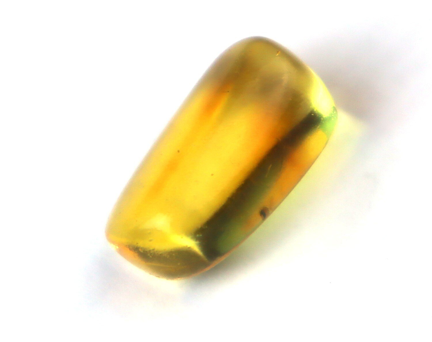Natural Dominican Amber Insect Fossil – Polished Stone 18mm – photo 5