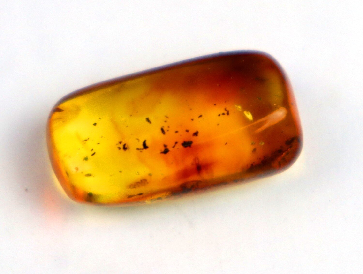 Beautiful Natural Dominican Amber Flying Insect Fossil 24mm – photo 8